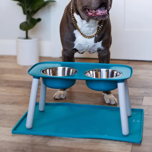 Vista 6 de Comedero elevado doble para perros, con recipientes extraíbles de acero inoxidable y patas ajustables (40 onzas / 5 tazas por recipiente), de Messy