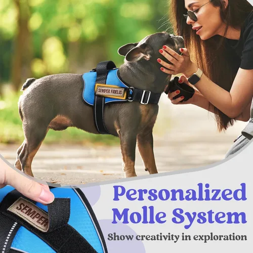 Vista 7 de rabbitgoo Arnés para perro pequeño, chaleco fácil de poner para mascotas con una hebilla, arnés de servicio ajustable sin tirones con anillo en D