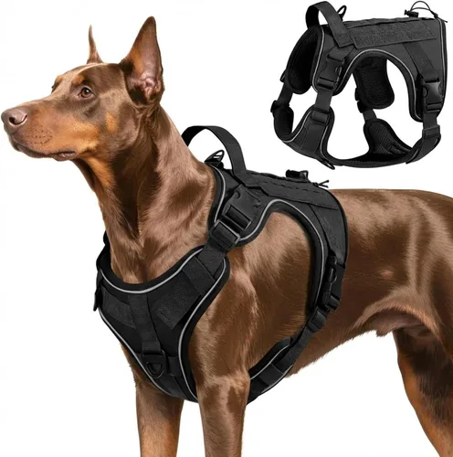 Vista 48 de VavoPaw cinturón de seguridad para perro, arnés de coche con hebilla ajustable para perro, cinturón de seguridad de nailon para mascotas, resistente