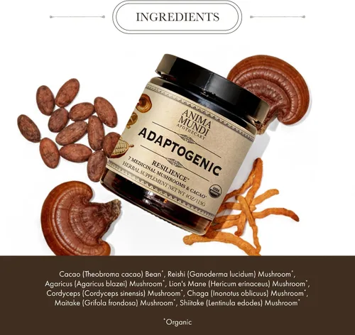 Vista 3 de Anima Mundi Apothecary Suplemento orgánico de hongos – hongos adaptogénicos + cacao – Polvo estimulante con melena de león orgánica, shiitake, chaga
