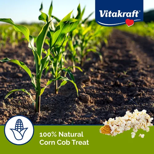 Vista 5 de Vitakraft Mini Pops Treat para animales pequeños, mazorca de maíz 100% real, apoya dientes sanos, 6 onzas