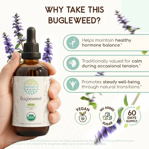 Vista 2 de HerbEra Bugleweed B120 USDA - Tintura orgánica Extracto sin alcohol, gotas de hierbas de alta potencia Bugleweed orgánico certificado