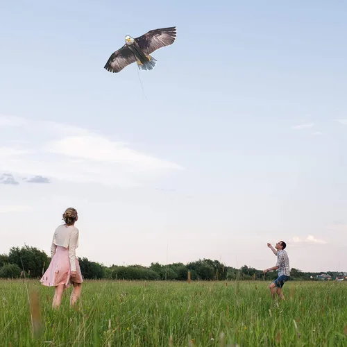 Vista 3 de Cometa Jekosen gigante, de águila calva, 70 pulgadas, cuerda de una sola línea, fácil de volar, para viajes en la playa, parque, familia