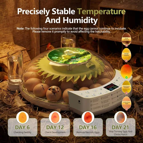 Vista 6 de Incubadora inteligente de 22 huevos, eclosión con un solo clic, control automático de humedad de temperatura, girador automático de huevos, vela