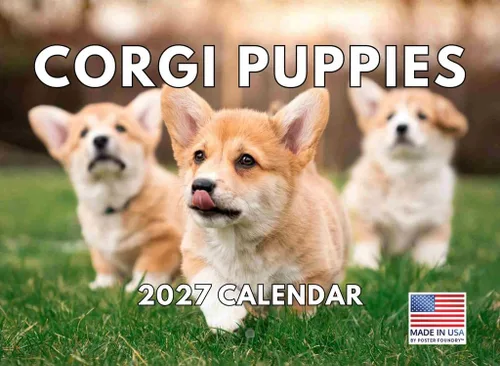 Vista 71 de Calendario mensual de pared Airedale Terrier Dog 2027