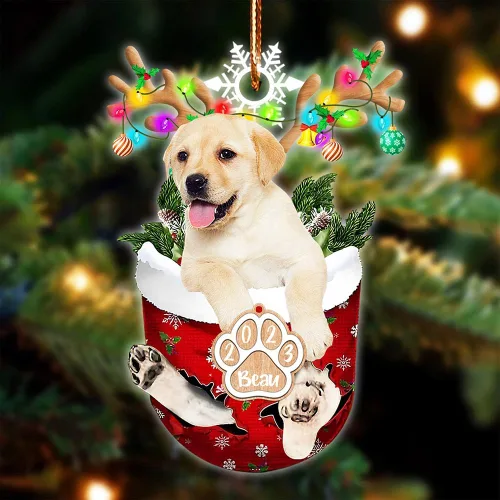 Vista 5 de NAZENTI Adorno Navideño de Bolsillo Personalizado de Affenpinscher en la Nieve, Adorno de Forma Acrílica de Perro, Adorno de Navidad 2023, Adorno