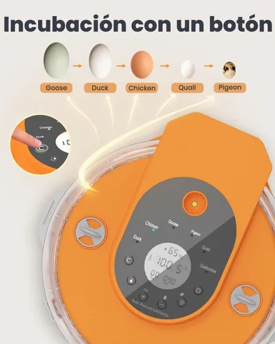 Vista 6 de Incubadora de 15 huevos con recarga lateral de agua, control automático de humedad, girador automático de huevos, temperatura ajustable, vela