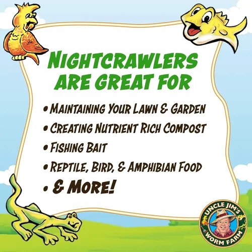 Vista 3 de Uncle Jim's Worm Farm 100 unidades de Nightcrawlers europeos súper rojos para compostaje y aireación del suelo del jardín Los grandes rastreadores