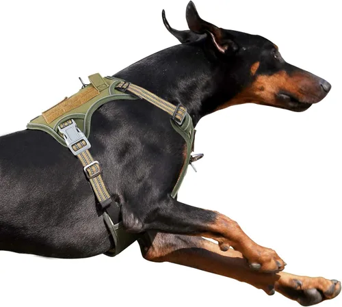 Vista 29 de BUMBIN Arnés táctico para perros pequeños sin tirones, famoso arnés de TIK TOK sin tirones para cachorros, arnés reflectante inteligente para Negro