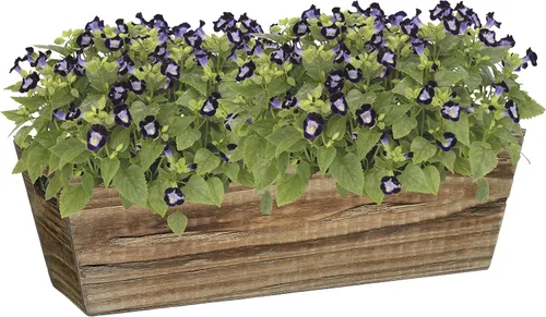Vista 2 de Caja de madera Classic Home and Garden, para ventana