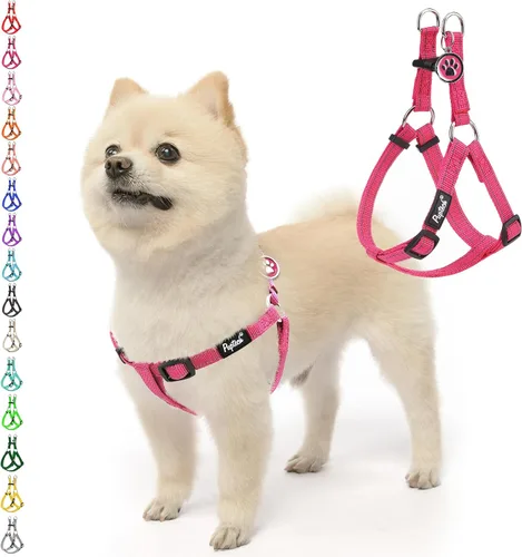 Vista 40 de Pupteck - Arnés para perros sin jalar, suave, ajustable, de nailon, talla básica, chaleco para cachorro, para caminar al aire libre con etiqueta