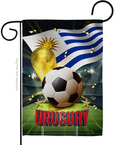 Vista 34 de Bandera del equipo de la Copa Mundial de la FIFA 2022 con bandera de Argentina para decoración del hogar al aire libre, arte de pared