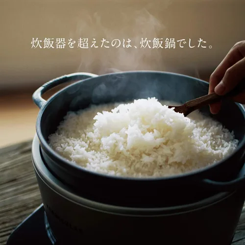 Vista 3 de VERMICULAR RICEPOT RP23A-SV【Japón Productos originales nacionales】
