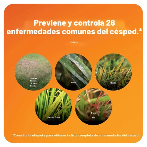 Vista 4 de Scotts - Fungicida para césped DiseaseEx, Controla y previene enfermedades hasta por 4 semanas, trata hasta 5.000 pies cuadrados, 10 libras.