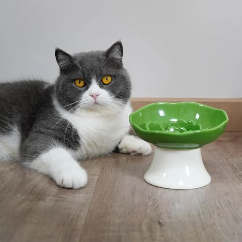Vista 6 de Cuenco elevado de cerámica para alimentación lenta para gatos y perros pequeños, plato elevado inclinado para comida de mascotas, diseño anti-vómito