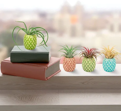 Vista 2 de Paquete de 4 soportes únicos para plantas de aire, lindo soporte de pared para plantas de aire de piña, soportes de cerámica Tillandsia para plantas