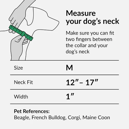 Vista 2 de CollarDirect Martingale - Collar para perro de nailon resistente para perros pequeños, medianos y grandes
