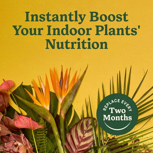 Vista 7 de Miracle-Gro Picos de alimentos para plantas de interior para todas