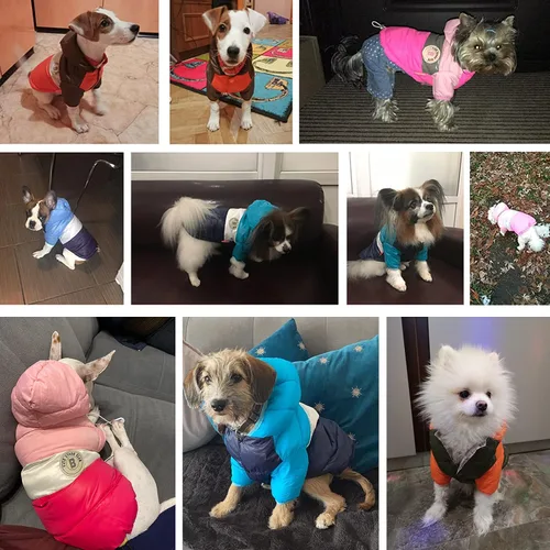 Vista 4 de Chaleco de Perro Abrigo de Invierno para Perros Pequeños Niños Niñas, Chaquetas de Plumón para Perros Sudadera con Capucha para Cachorros Abrigo