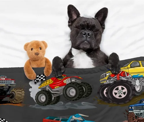 Vista 143 de Manta de bebé con texto en inglés «Just A Boy Who Loves Trucks» para niños y niñas, manta súper suave para envolver al recién nacido, acogedora