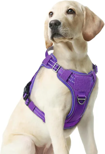 Vista 56 de rabbitgoo - Arnés para perros pequeño sin tirones, chaleco táctico de servicio con Molle y asa de control, arnés militar ajustable y reflectante