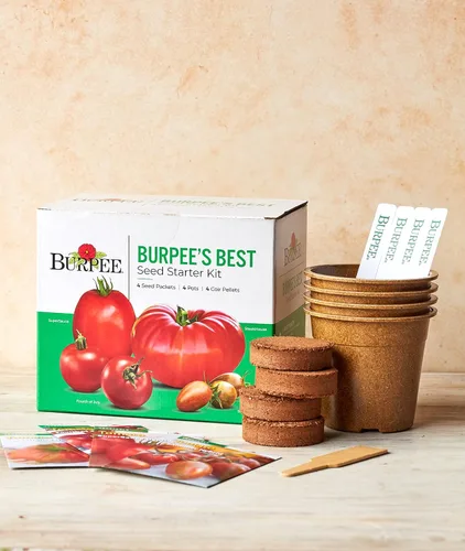 Vista 5 de Burpee - Colección Best 10 (10 mejores), 10 paquetes de semillas de tomates clásicos