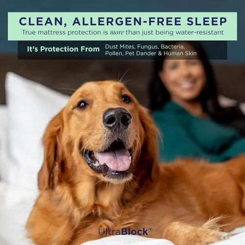 Vista 4 de Protector de colchón impermeable UltraBlock Premium, protector de almohada impermeable, algodón suave con funda de toalla