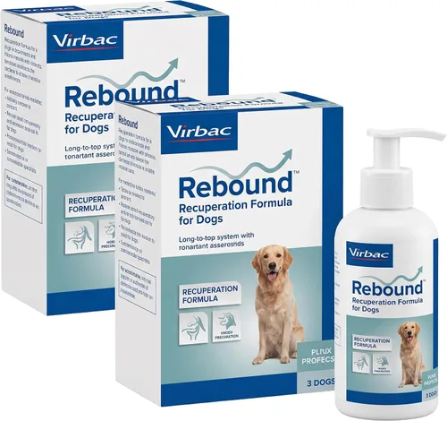 Vista 5 de Fórmula de recuperación de rebote para perros, soporte de hidratación