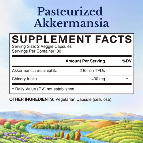 Vista 2 de Vitalitown Akkermansia Probiotic GLP-1 con inulina de achicoria 2 mil millones de TFU Probióticos Akkermansia Muciniphila para hombres y mujeres