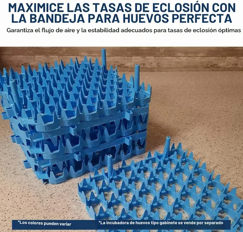 Vista 3 de Bandejas universales para huevos de pollo (paquete de 6)