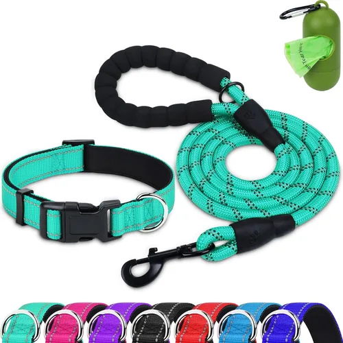 Vista 15 de Dynmeow - Juego de collar y correa reflectante para perro, correa de cuerda de escalada resistente de 6 pies con mango acolchado, collar ajustable