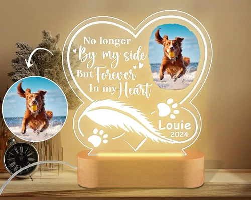 Vista 9 de LOVELYPOD Luz nocturna personalizada con foto de perro, regalo conmemorativo para perros, placa conmemorativa para mascotas, regalo de foto