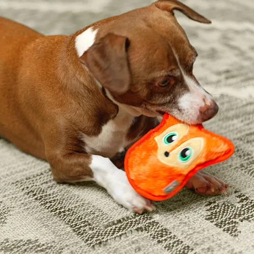 Vista 5 de Outward Hound Invincibles - Juguete de peluche para perro, XS zorro