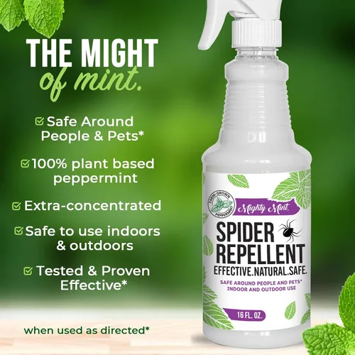 Vista 12 de Spray repelente de arañas con aceite de menta de Mighty Mint – Control natural de insectos para interiores y exteriores para arañas e insectos
