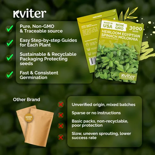 Vista 5 de KVITER 3000 semillas de espinaca egipcias - Molokhia (Corchorus Olitorius) - Hojas de yute, Ewedu, Día de Rau, Semillas de vegetales Saluyot