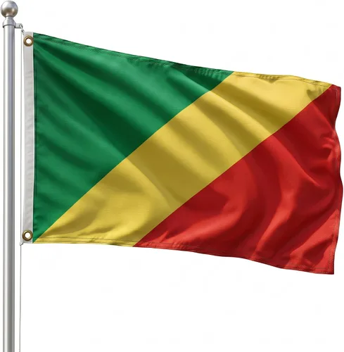 Vista 171 de DMSE - Bandera nacional beninesa beninesa de la República de África Occidental, 2 x 3 pies, 100 % poliéster, 100 % poliéster, resistente a los rayos