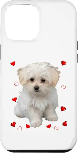 Vista 25 de Funda para iPhone 11 Maltipoo Mix Fans para amantes de los perros maltés