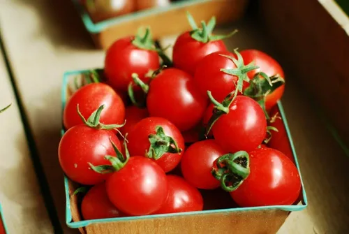 Vista 7 de MOCCUROD - 100 semillas de tomate cereza para interiores, semillas de herencia vegetal rara de tomate enano rojo y amarillo