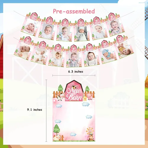 Vista 6 de Cartel de fotos de 1er cumpleaños de animales de granja, rosa para niñas, temática de granja, recién nacido a 12 meses, cartel fotográfico para bebé