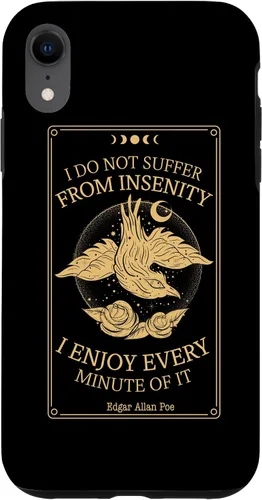 Vista 24 de Funda para iPhone 11 Pro Max Edgar Allan Poe Raven Booktok Bookish Merch