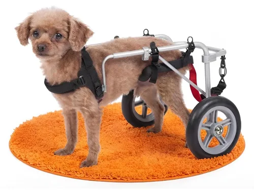 Vista 11 de Silla de ruedas para perro Best Friend Mobility tamaño extra pequeño