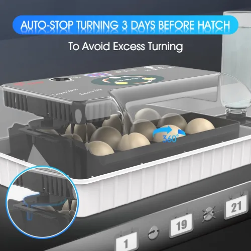 Vista 5 de 12 Incubadoras Automáticas de Huevos para Incubar Huevos con Control Inteligente de Temperatura, Volteador Automático, Ovoscopía LED para Huevos