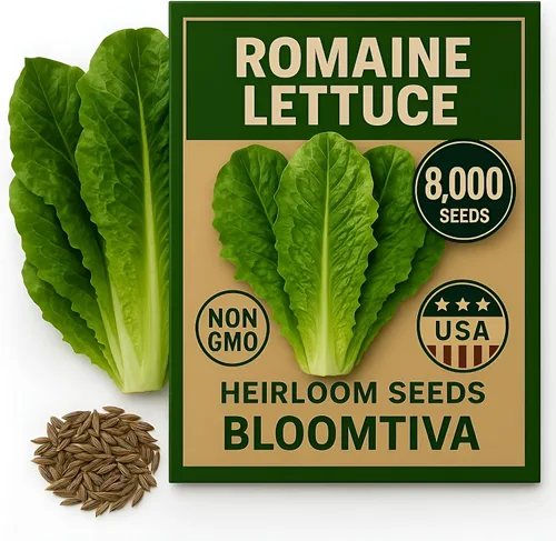 Vista 10 de 2200 semillas de mostaza bebé para plantar - CAI Xanh an Non - Cosecha súper rápida - Semilla de mostaza NO-GM de calidad superior - Alta tasa