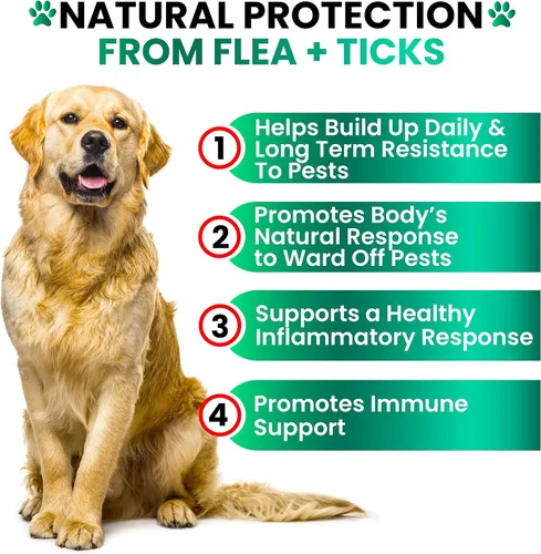 Vista 4 de Prevención de pulgas y garrapatas masticables para perros, fabricado en Estados Unidos, suplemento natural para pulgas y garrapatas, píldoras orales