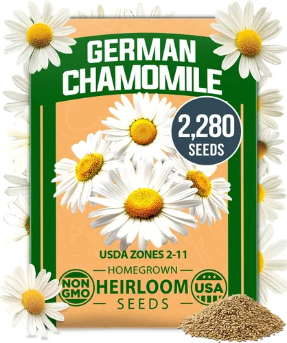 Vista 31 de HOME GROWN Semillas de zinnia rosa – 300 zinnias Luminosa 0.5g, semillas anuales de flores fáciles de cultivar para plantar al aire libre para 2026
