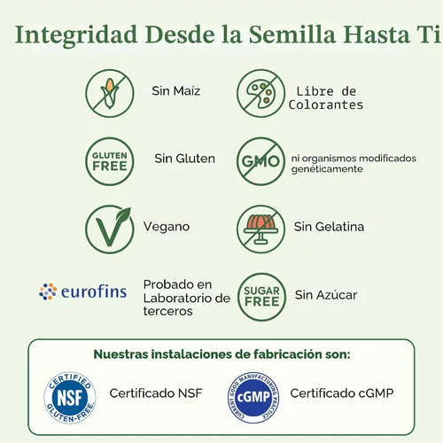 Vista 6 de Plant People WonderDay - Gomitas de hongos, melena de león, Cordyceps, suplemento de hongo Chaga para apoyar el sistema inmunológico, desestresar
