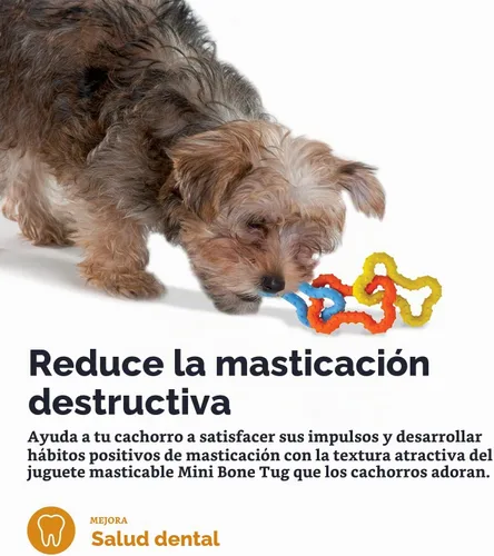 Vista 5 de Petstages Mini Juguete de Tirar y Masticar con Hueso para Cachorros