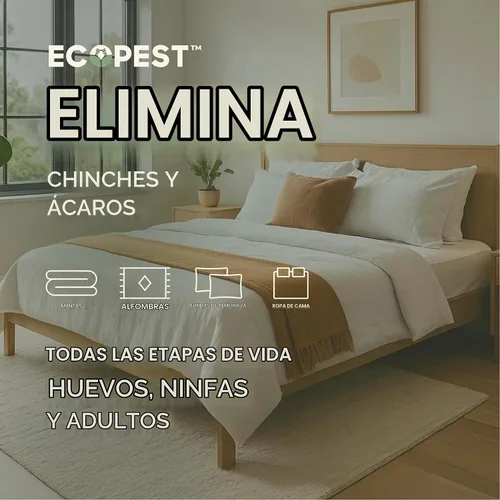 Vista 5 de BugOut! Aditivo para la Ropa – Refuerzo de detergente natural para tratamiento y prevención de chinches de cama, ácaros, pulgas y garrapatas