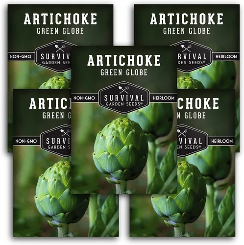 Vista 11 de 1 paquete de semillas de alcachofa Green Globe para plantar con instrucciones para cultivar Cynara Scolymus perenne en el huerto de tu hogar