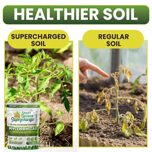 Vista 4 de Hongos micorrízicos con bacterias beneficiosas, Trichoderma, algas marinas, melaza, yuca, Smart Grower Supercharge Potenciador de raíces de plantas